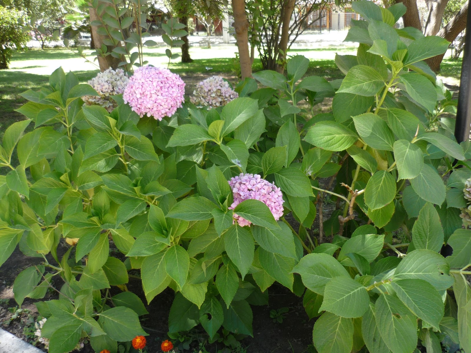 Mis labores de punto de cruz GUACARHUE