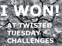 Winner-Challenge #15