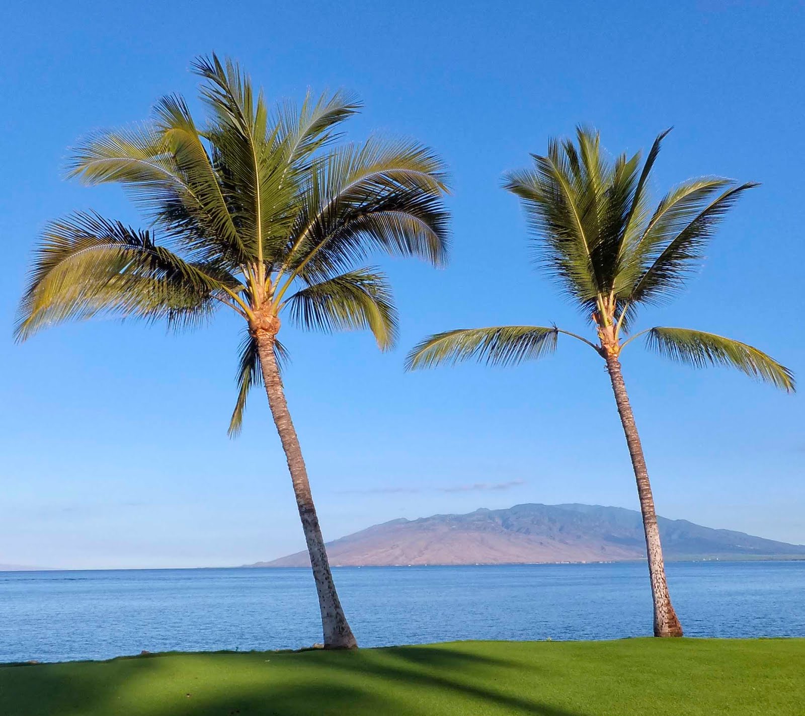 Harris and Judy's Great Adventures! Maui w/o Howie part 4