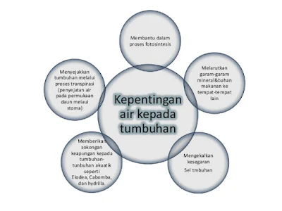 Anugerah Ilahi: Kepentingan Menjaga Alam