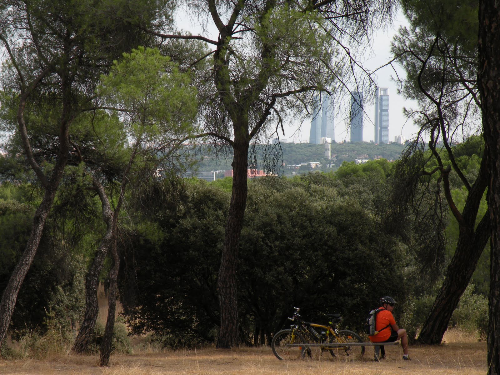 Mi Madrid recóndito: Vuelta a la Casa de Campo