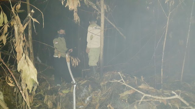 Kabut Asap Mengkhawatirkan, Kepanduan PKS Padamkan Titik Kebakaran di Kalimantan
