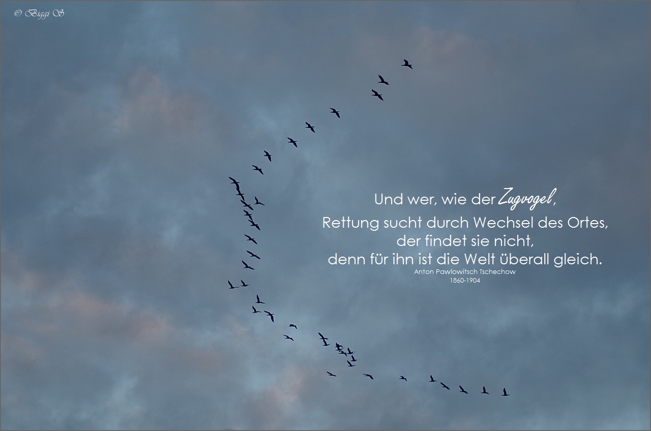 Ich liebe diese Momente