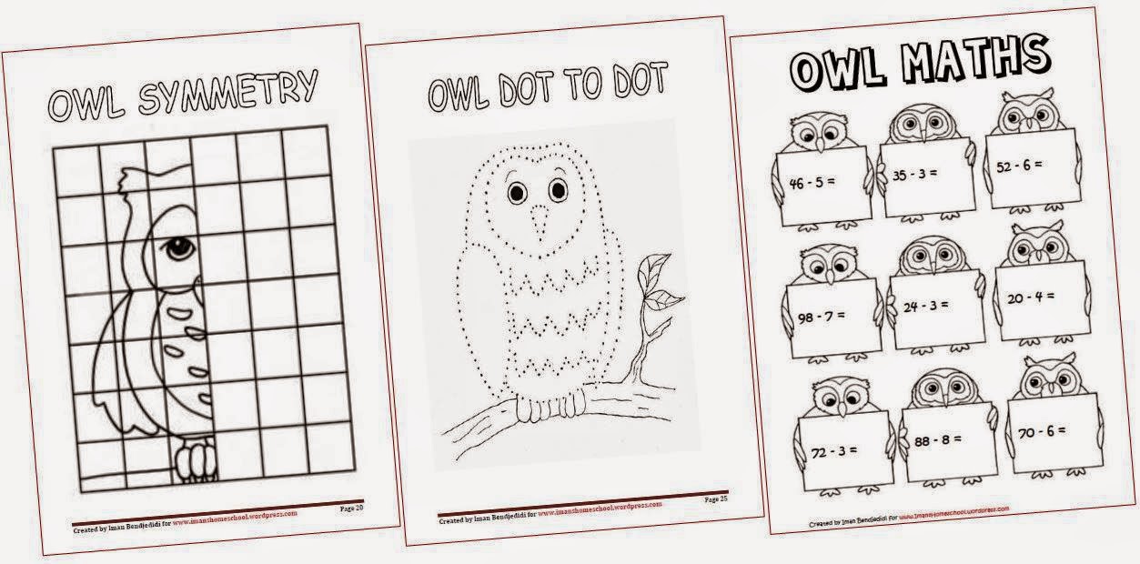 Iman's Home-School: Owl Project & Worksheets