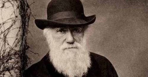 Darwin forex
