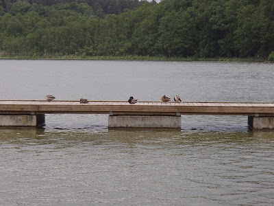 Mazury, Jezioro Nidzkie, Nida, port "Pod Dębem", zabawa nad jeziorem, pływanie w jeziorze