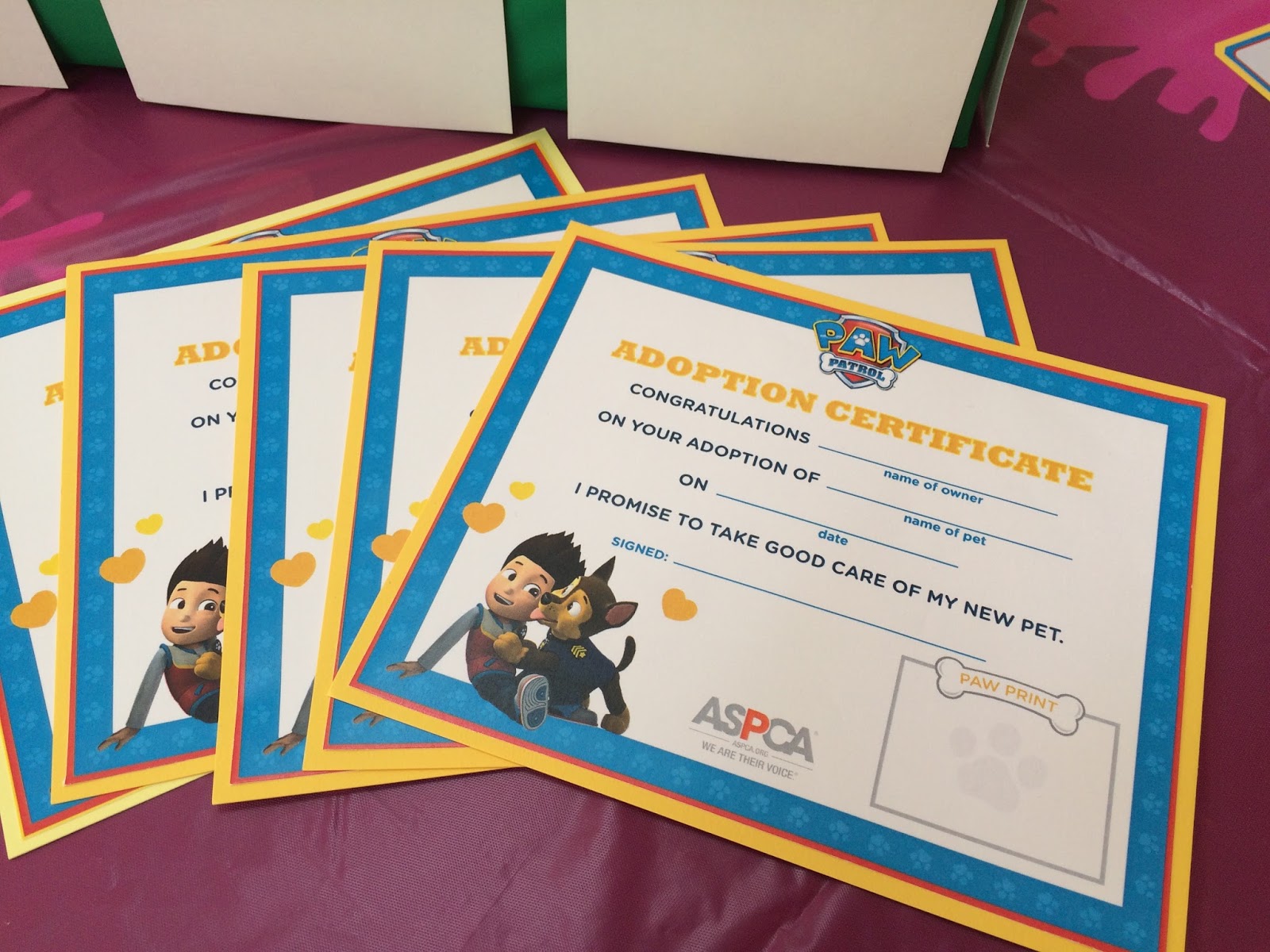 keeping-up-with-the-kiddos-clara-s-paw-patrol-birthday-party