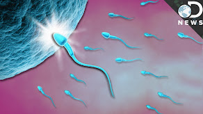 DO YOU HAVE FERTILITY ISSUES? TALK TO DR. MICHAEL OGUNKOYA (+2348033069466)
