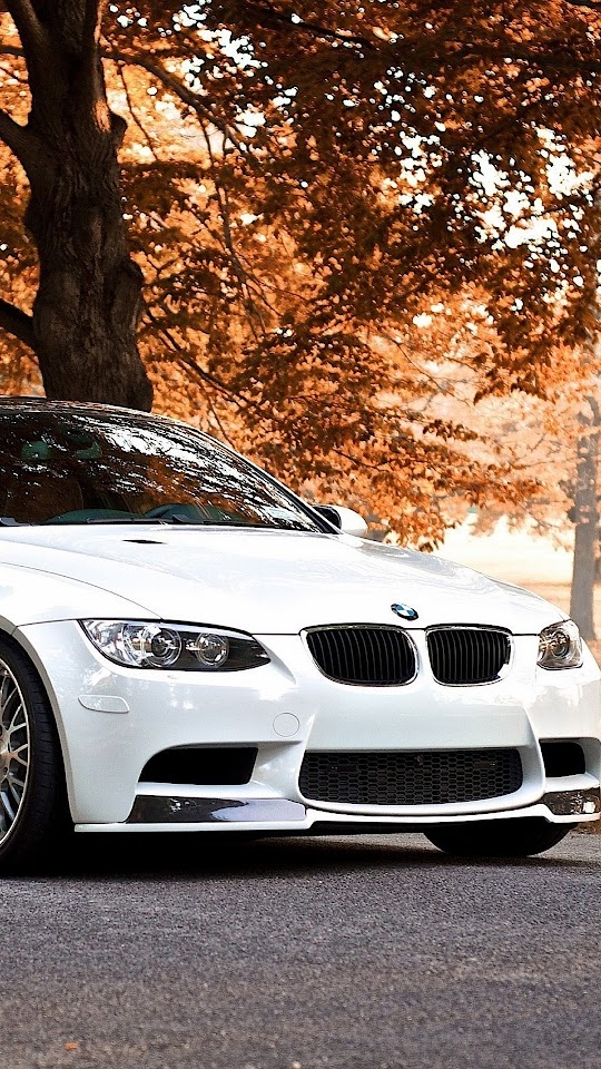 BMW M3 White Autumn Background  Galaxy Note HD Wallpaper