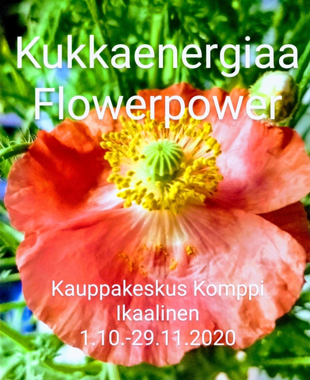 Flowerpower-näyttely