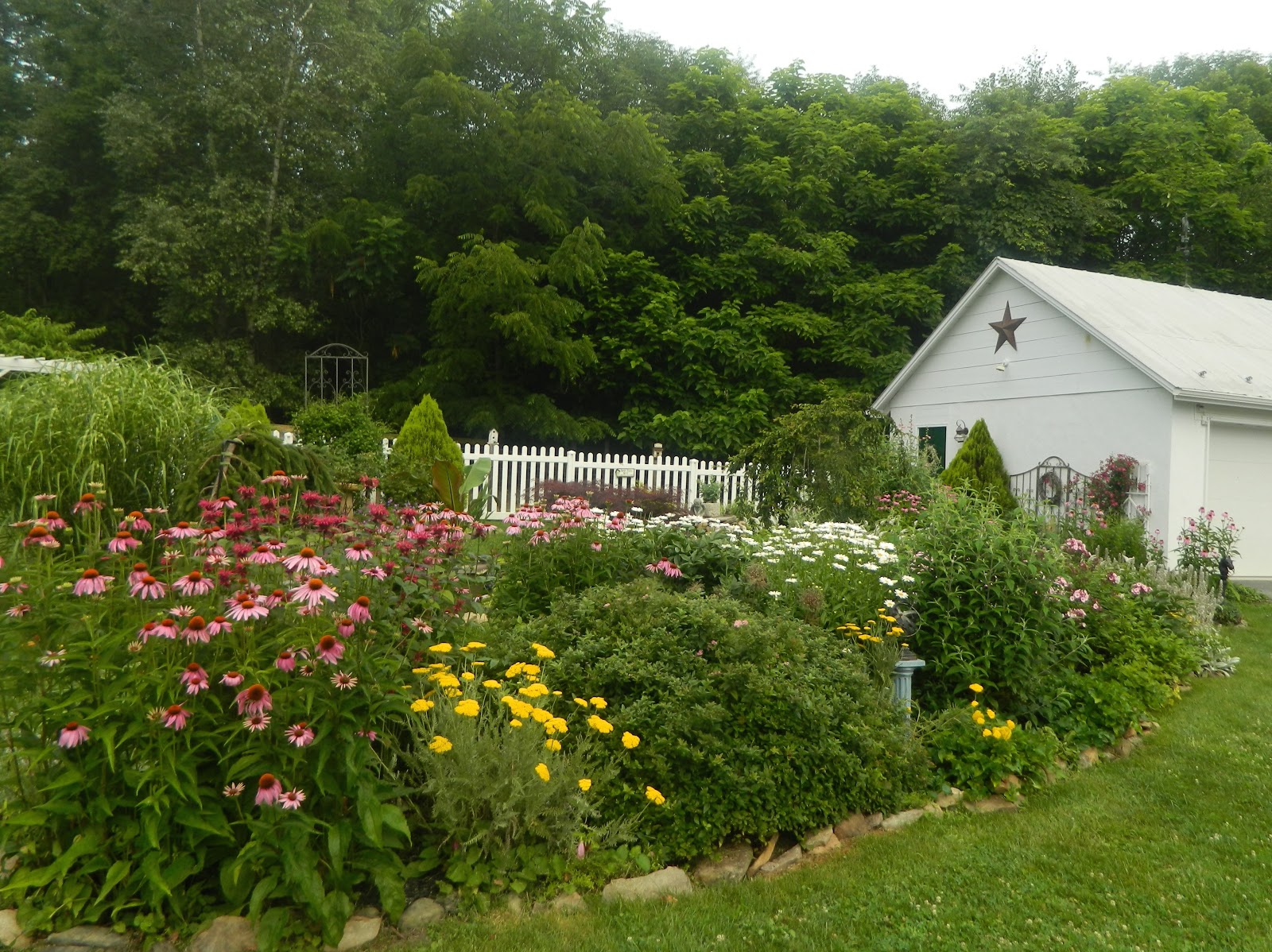 Pam's English Cottage Garden: English Cottage Garden Style for July