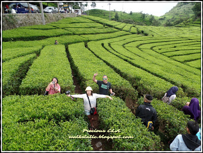 Ciwidey , Bandung Indonesia Ciwidey , Bandung Indonesia