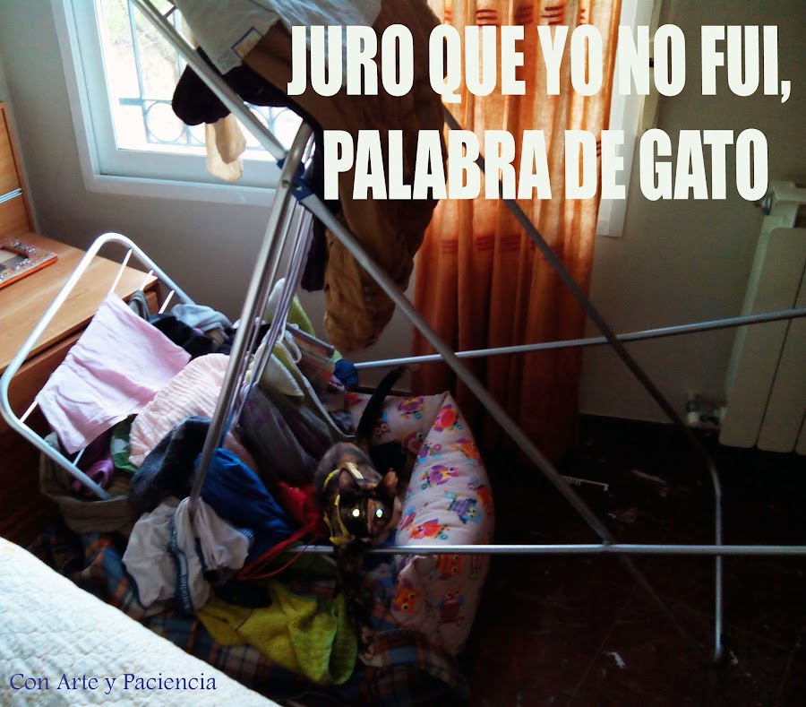 JURO QUE YO NO FUI, PALABRA DE GATO
