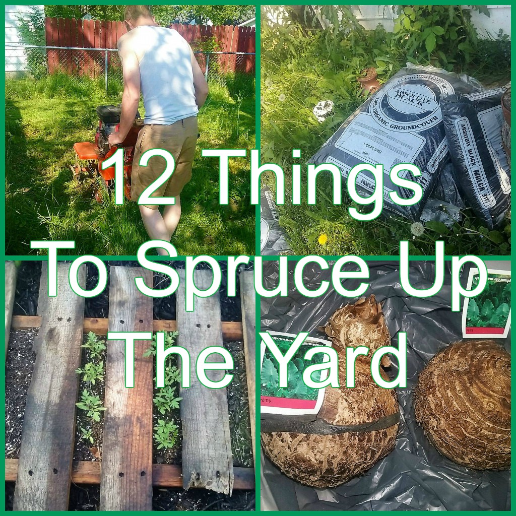Rusty2rusty's Chatter 12 Things To Spruce Up The Yard