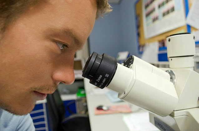 Mann schaut durch Mikroskop