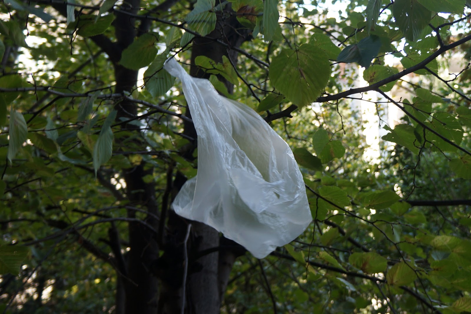 Why Are Plastic Bags Banned In Rwanda IUCN Water