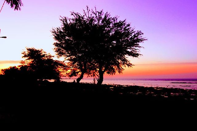 Tempat Menikmati Sunset Di Lamongan Yang Indah Dan Romantis
