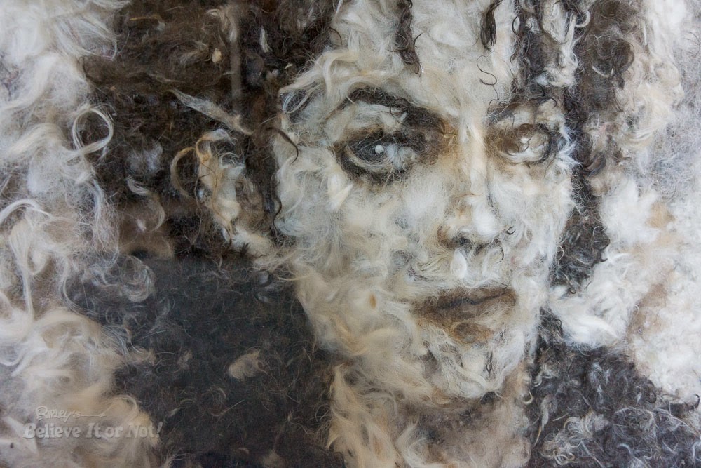 Simply Creative Fluffy Portraits Made with Dog Hair by Mateo Blanco