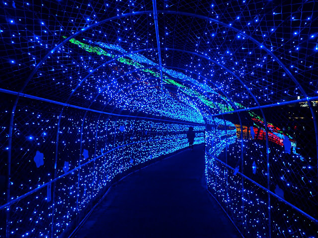 Blue starry night lights in the tunnel at the Light Festival at Boseong Green Tea Plantation, South Korea