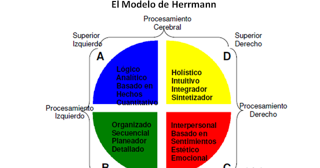 Seis Modelos de Aprendizaje y sus aportes a la educación en Panamá: MODELO  DE HERRMANN