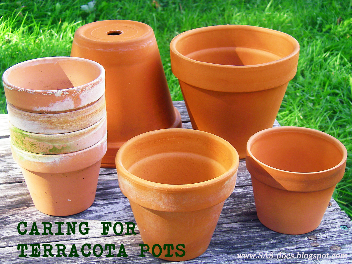 Caring for terracotta pots SAS does Caring for terracotta pots