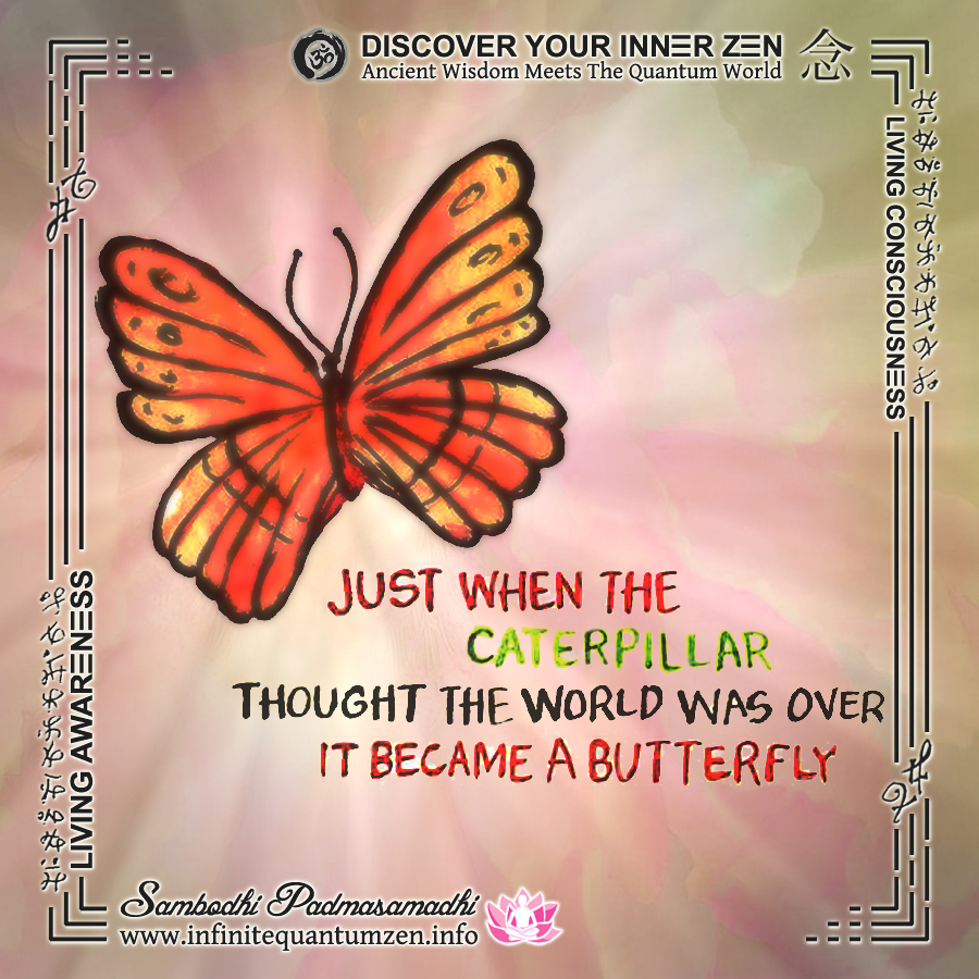 Just when the caterpillar thought the world was over it became a Butterfly - Infinite Quantum Zen, Success Life Quotes