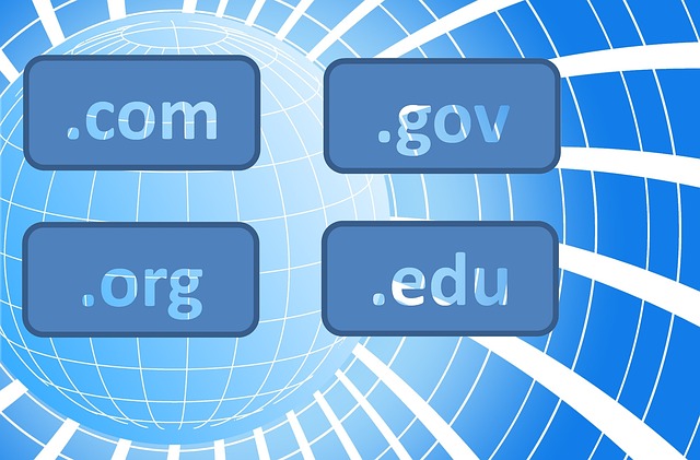 Flipping Domain Names Flipping Domain Names