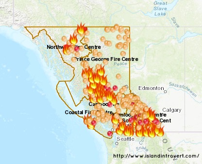 The Dog Days of Summer