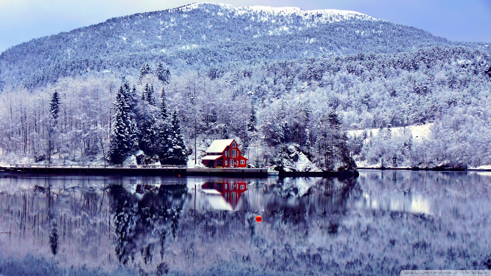 fond ecran paysage hiver maison fonds d 39 écran hd vermont christmas trees