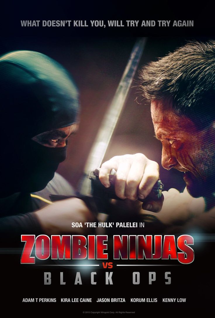 Zombie Ninjas vs Black Ops 2015 - Full (HDRIP)