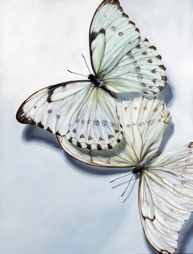 Butterflies and Flowers by Carin Gerard.