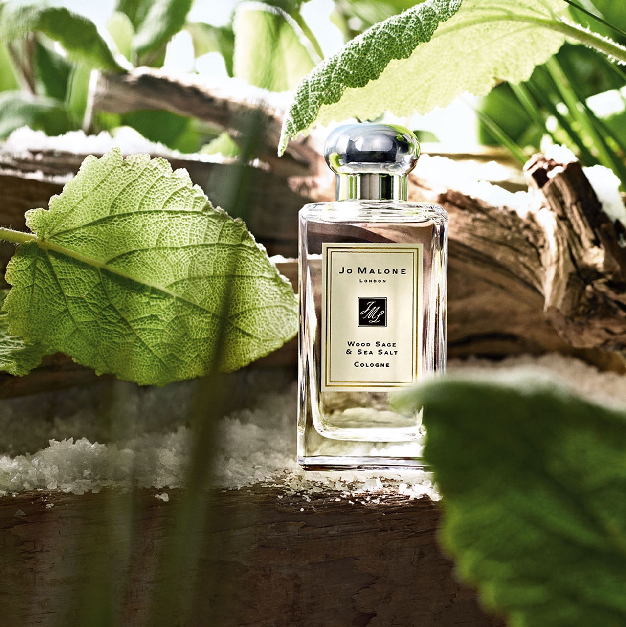 All about the Fragrance Reviews Review Jo Malone Wood Sage & Sea Salt