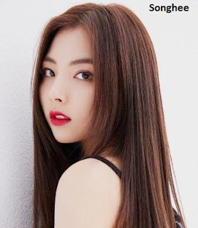Biodata BVNDIT Members Profile, Foto, Agama, Fakta & IG asli
