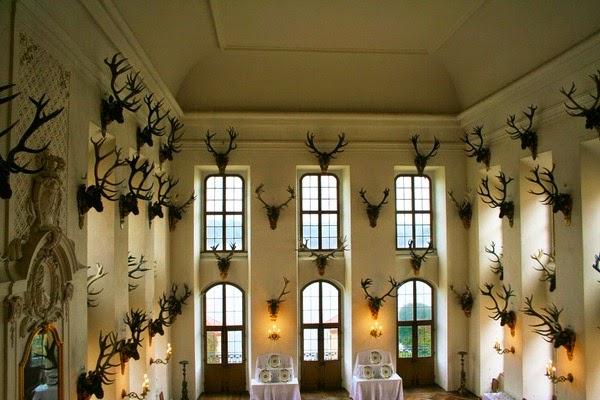 Do you dare to put the horns?