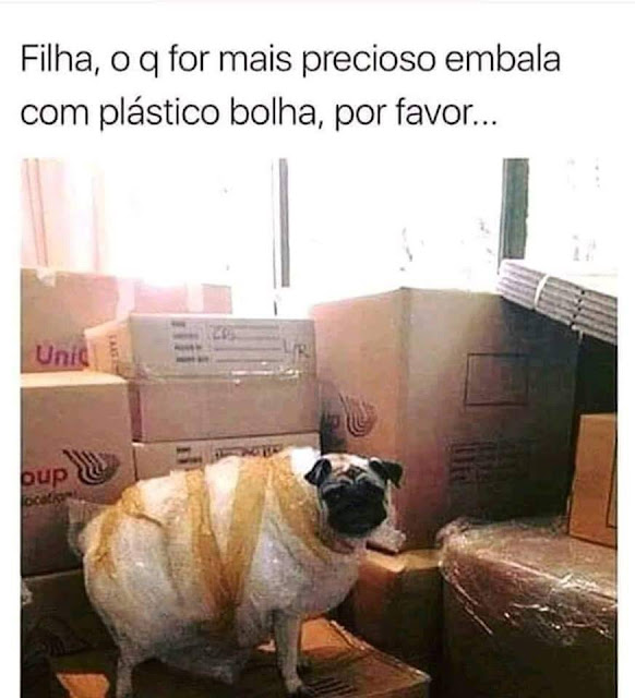 Memes engraçados Memes engraçados