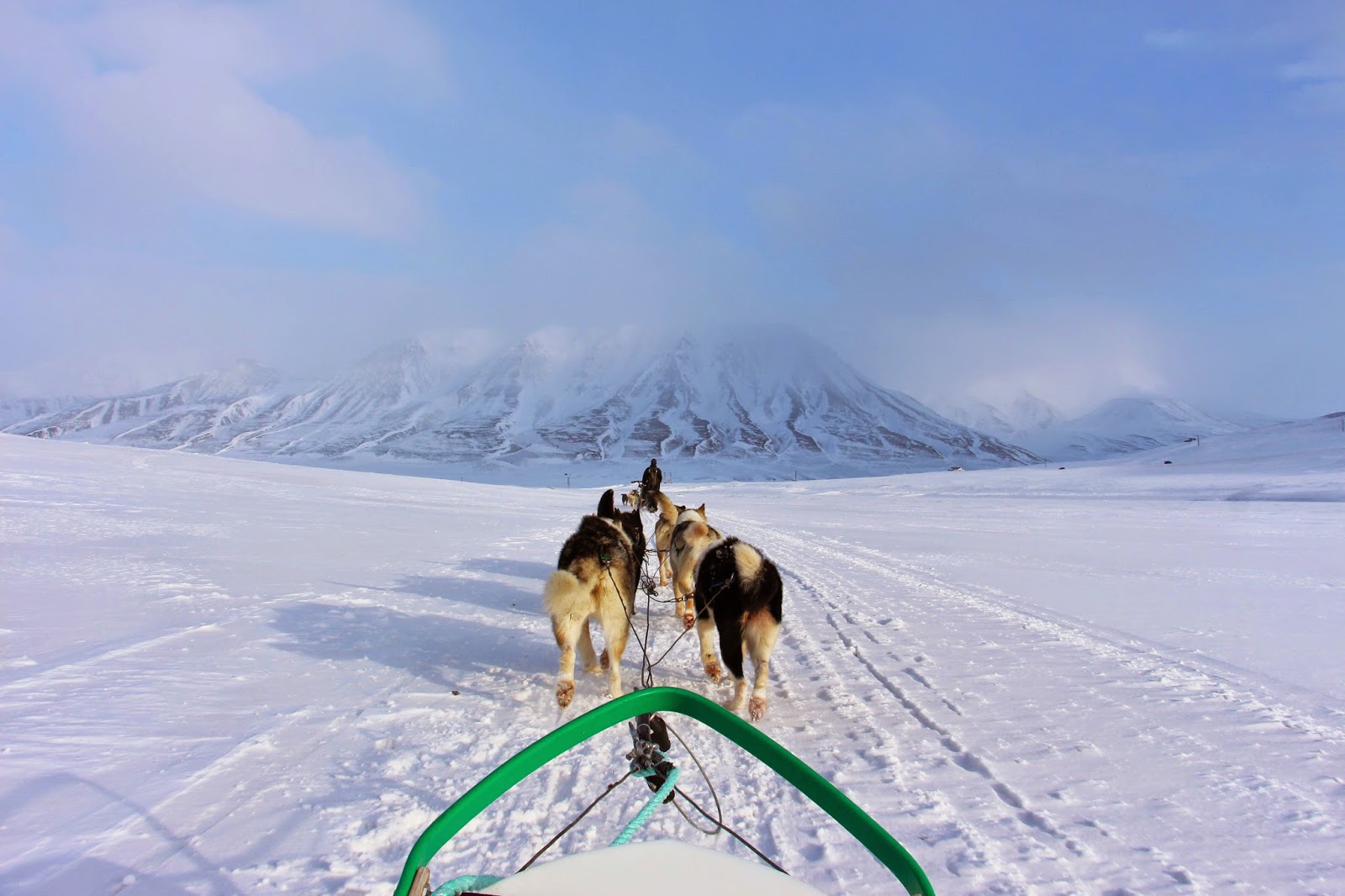 O apelo do Árctico - Correndo em TRENÓ DE CÃES em Svalbard | Noruega