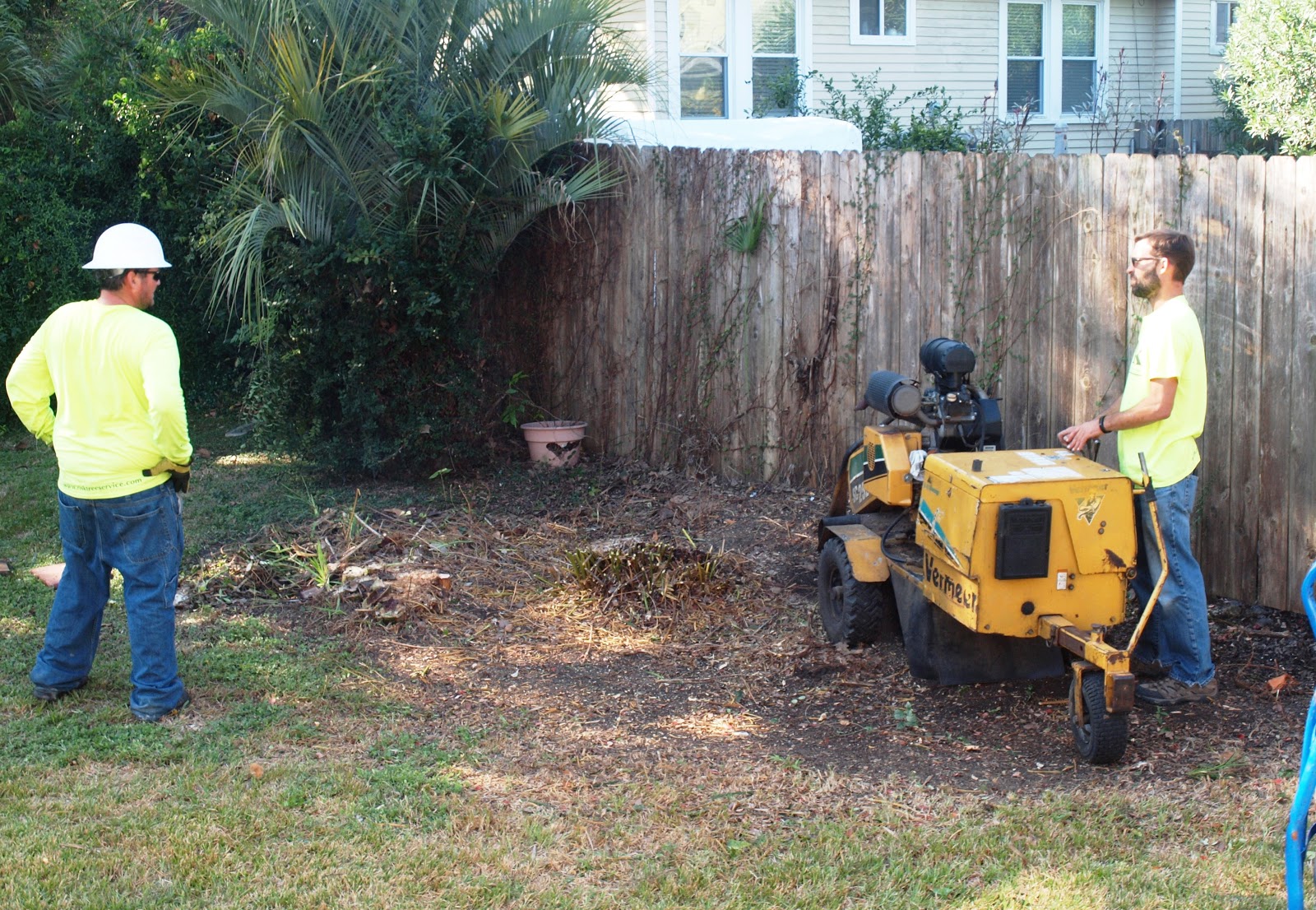 angels and people, life in New Orleans back yard cleanup project