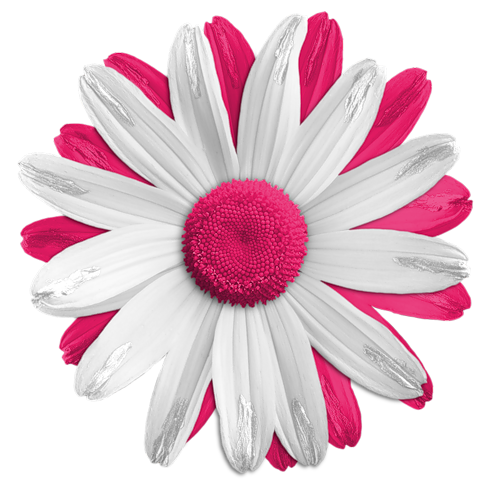 My Image 24