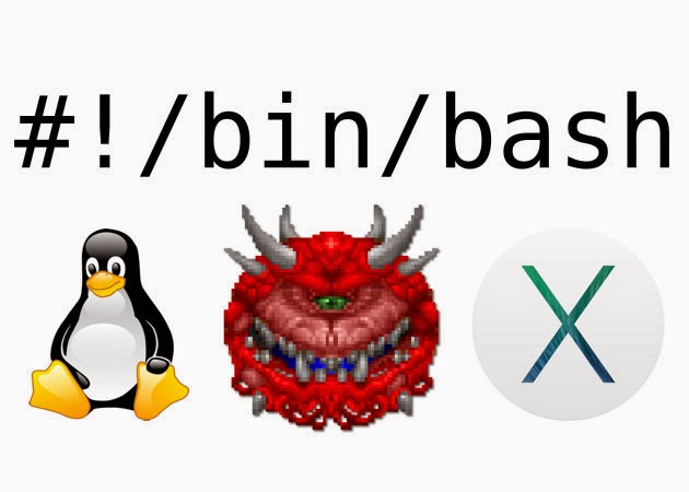 Bin bash. Kali linux обои 1920x1080. Bash today logo. Bash. Chroot linux примеры.
