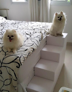escadas para cães camas altas