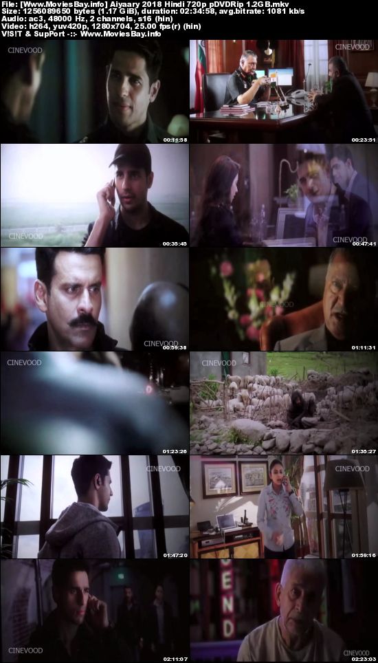 Image result for Aiyaary (2018) screenshot pic