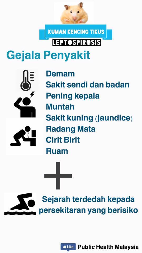 Mala Masya Kencing Tikus Antara Faktor, Tanda, Rawatan & Langkah