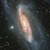 A Galactic Gem, spiral galaxy NGC 3981