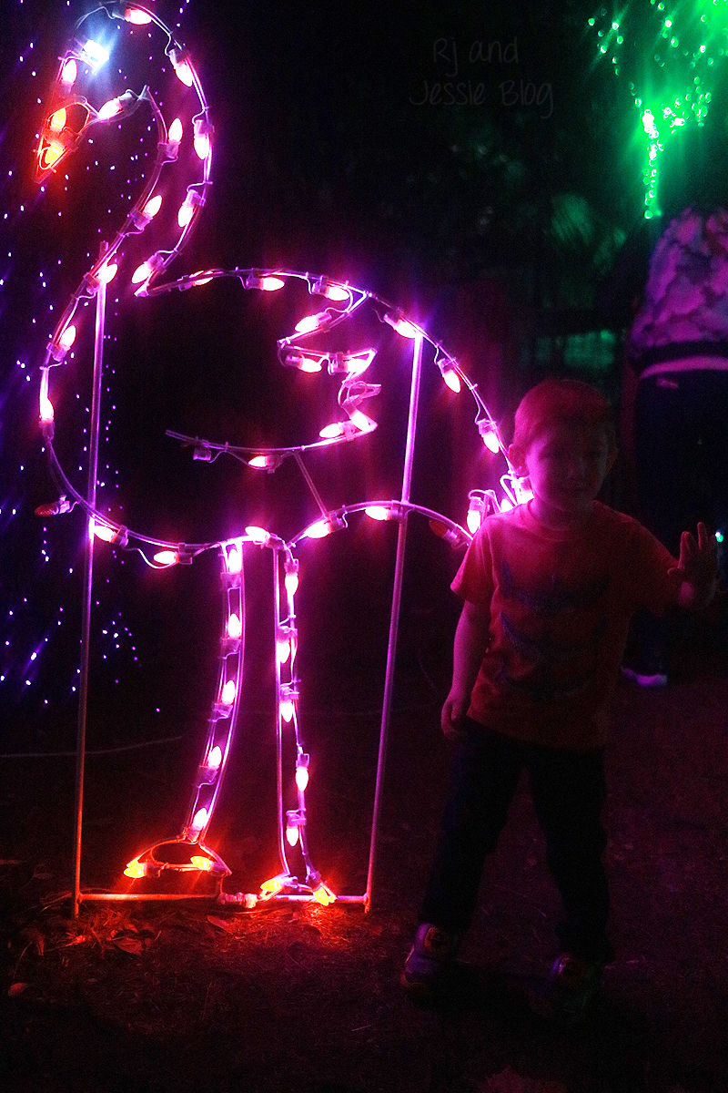 Zoo Lights at Jacksonville Zoo 2016