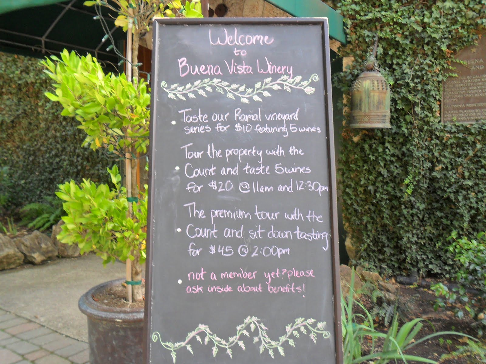 Napa Valley Off The Beaten Path Buena Vista Winery