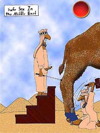 humor cartoon camel sex humor cartoon camel sex