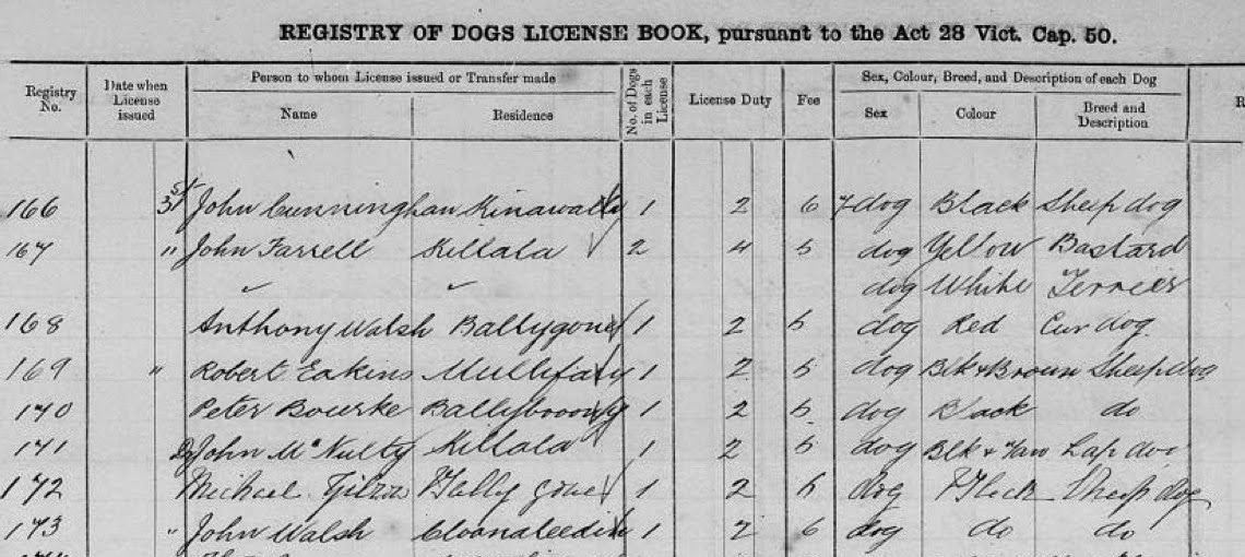 Our Mayo Families Ireland Dog Licenses Registers