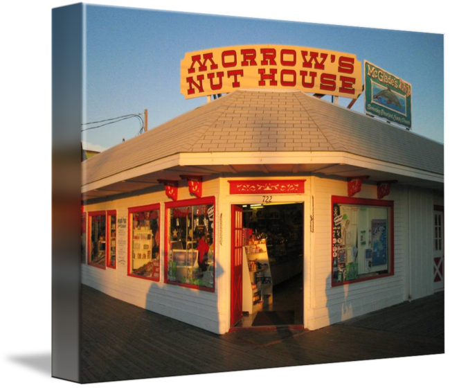 The Weather Continues . . . Some Notes on My Recent NutHouse (New