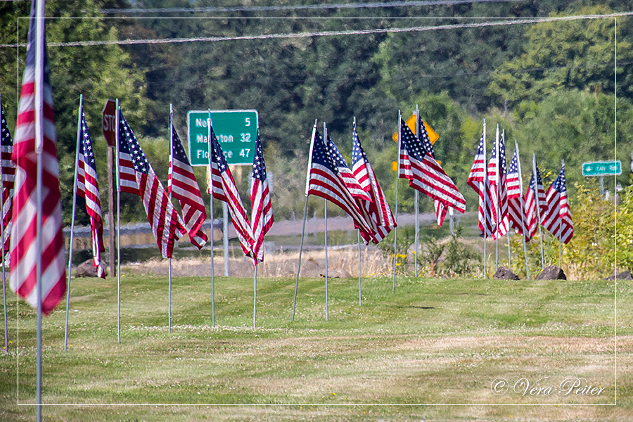 Us Prasident Trump Wunscht Sich Militarparade Aktuell Welt Dw