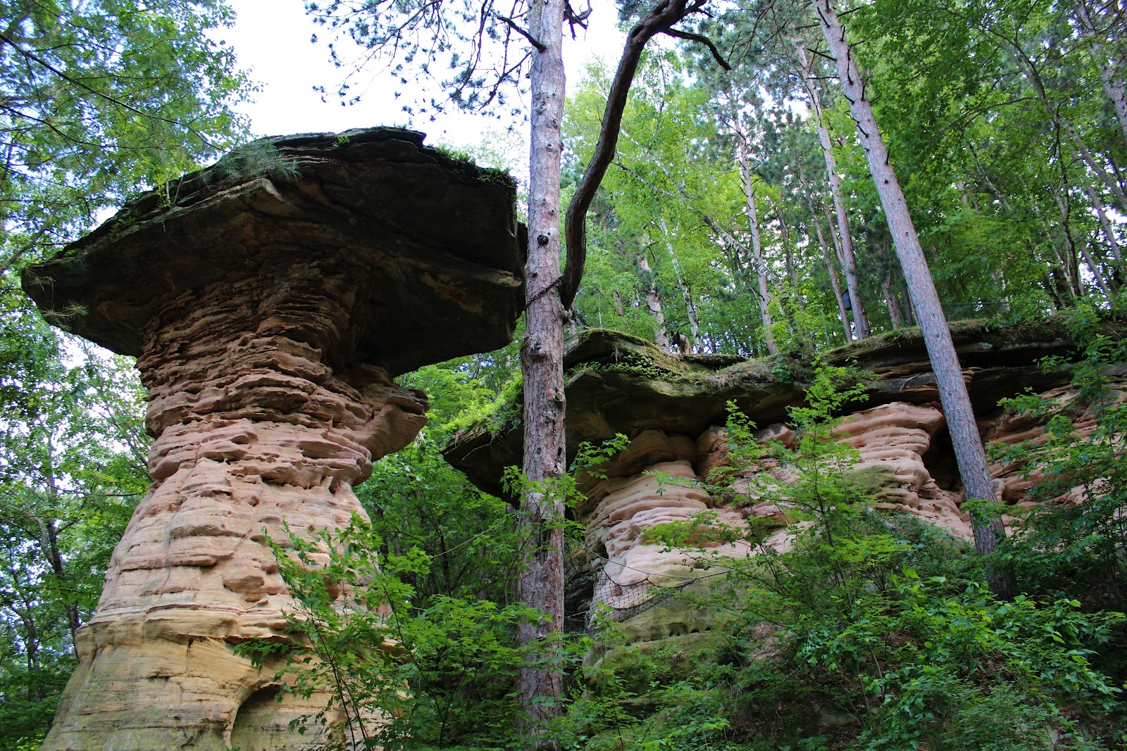 Las Aventuras The Wisconsin Dells